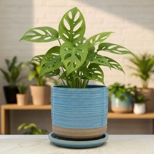 6" Textured Blue & Beige Ceramic Barrel Planter with Attached Saucer